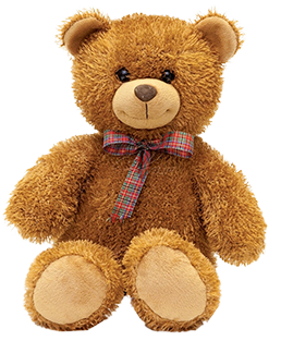 Bears_01